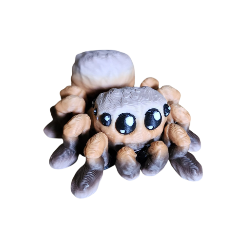 Spider Fridge Magnet