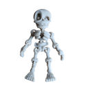  Bone