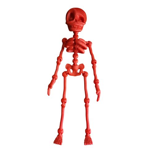 Wiggly Skeletons