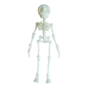  Glow in the Dark