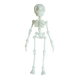  Glow in the Dark