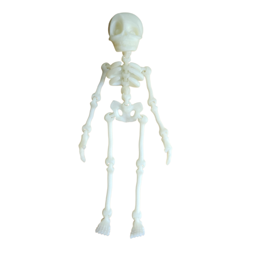 Wiggly Skeletons