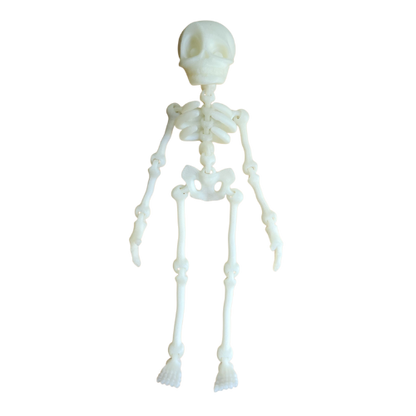 Wiggly Skeletons