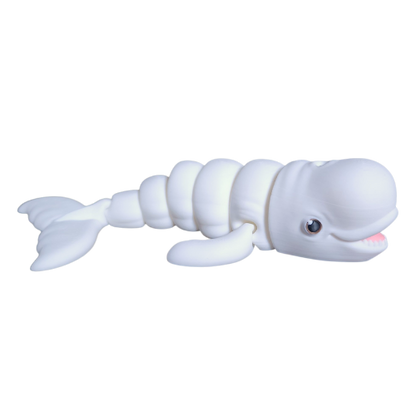 Beluga Whale