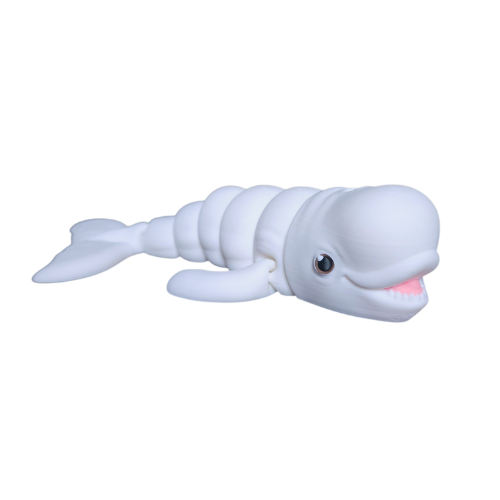 Beluga Whale