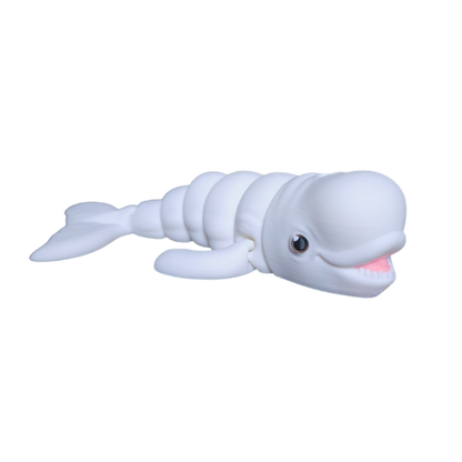 Beluga Whale