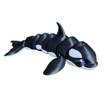 Killer Whale