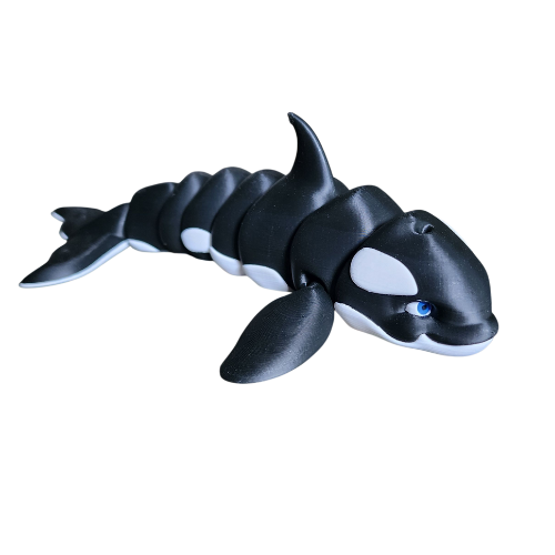 Killer Whale