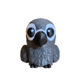African gray bird facing forward