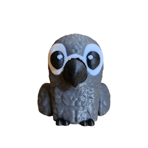 African gray bird facing forward