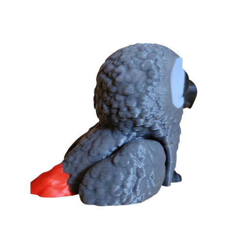 African gray bird right side