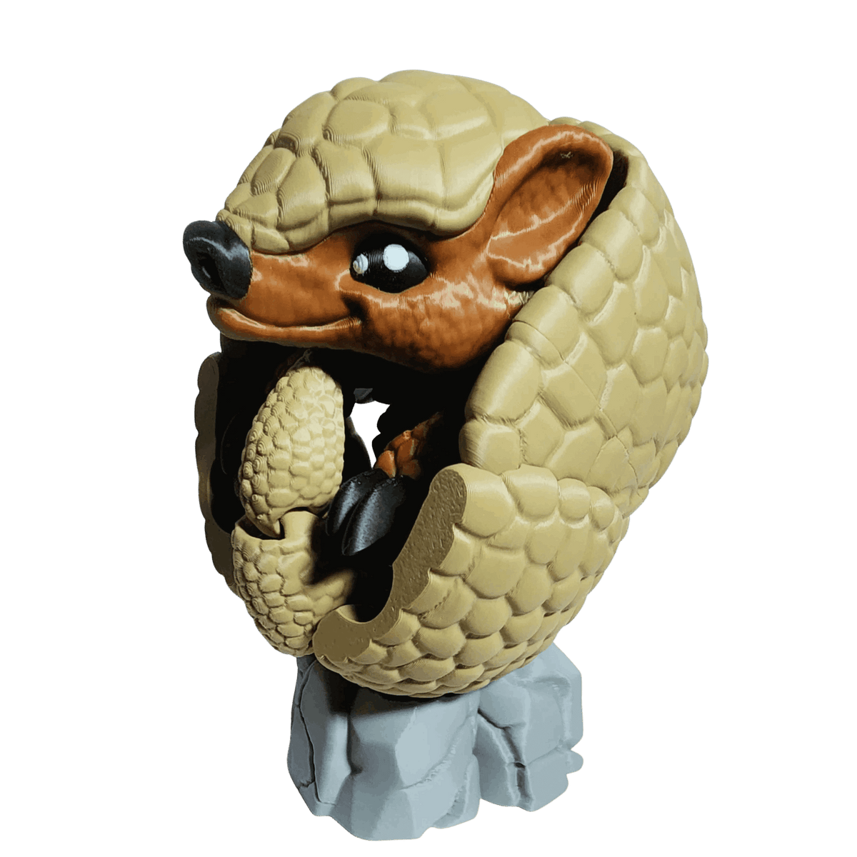 Armadillo curled  up on a rock, on a transparent background