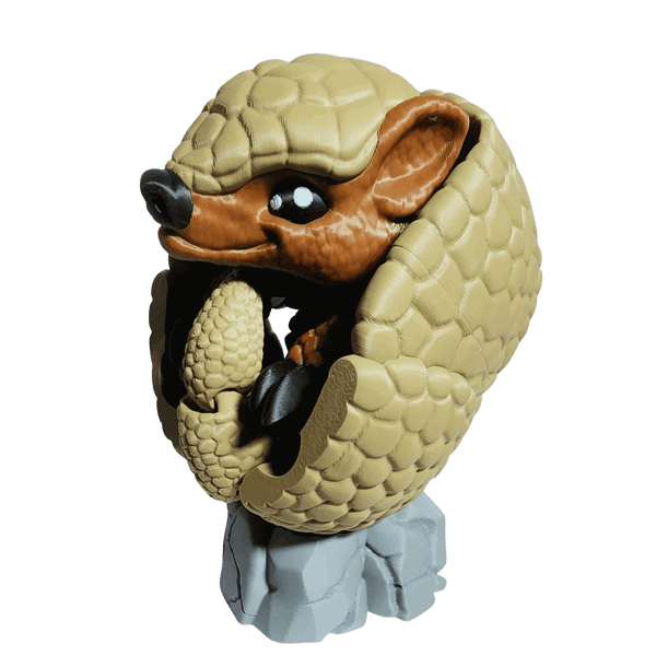 Armadillo curled  up on a rock, on a transparent background