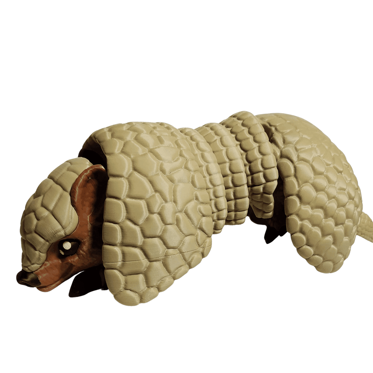 Toy armadillo with a textured shell on a transparent background