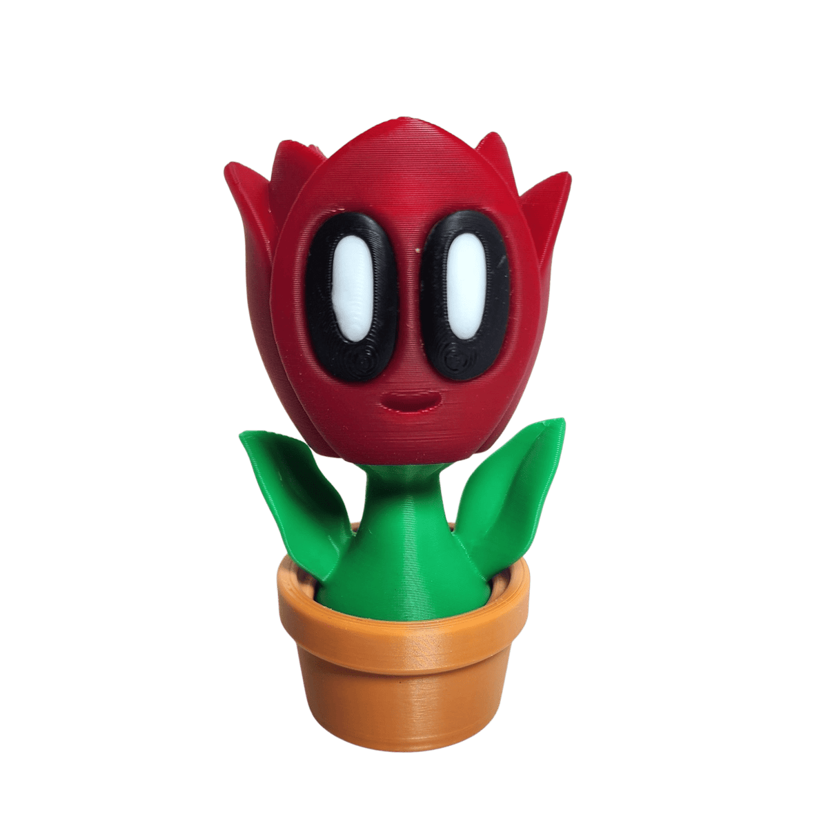 Bob plant