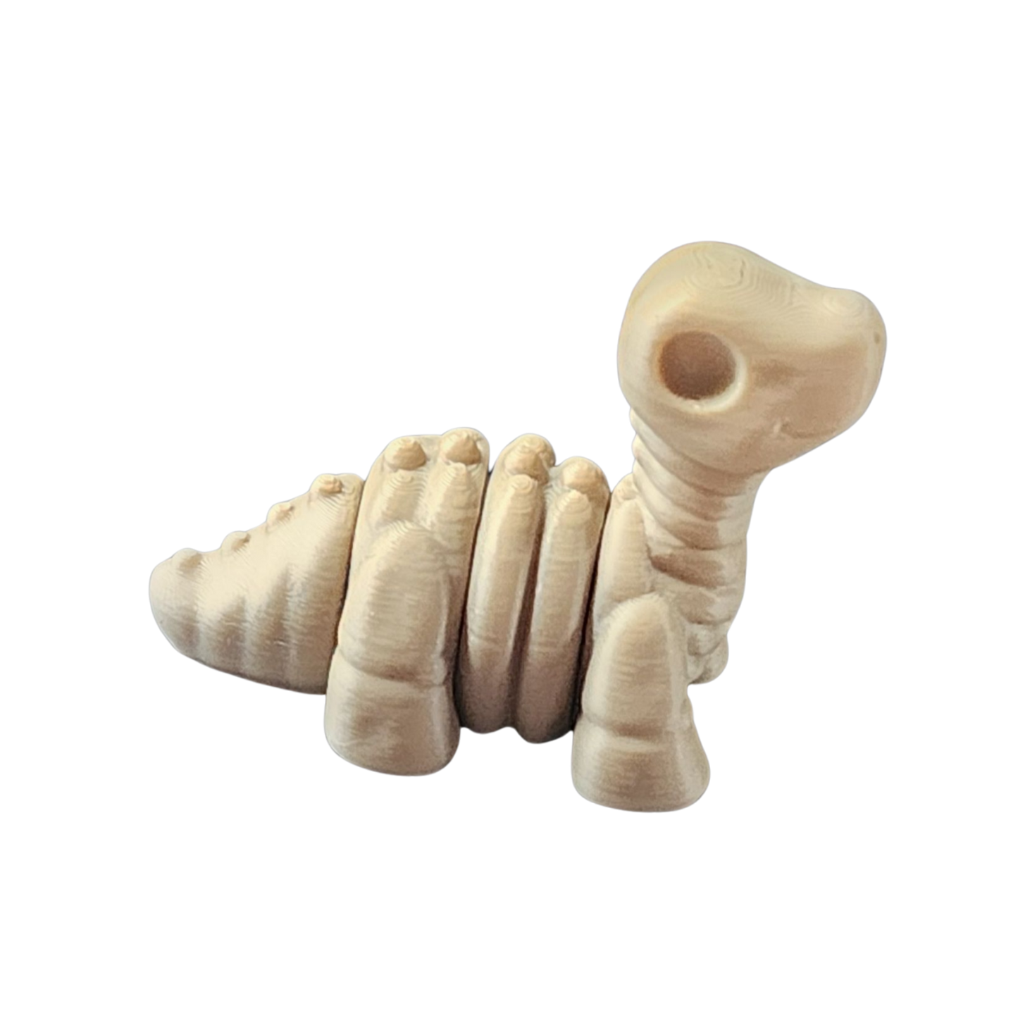 Brontosaurus Skeleton