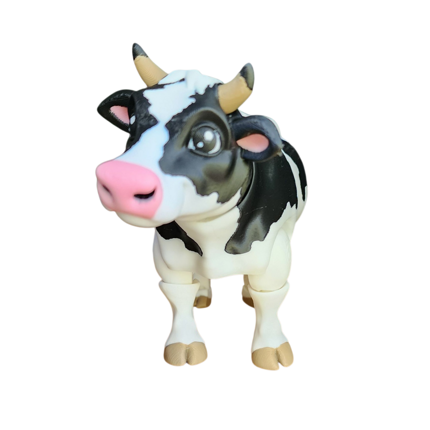 Dairy Cow