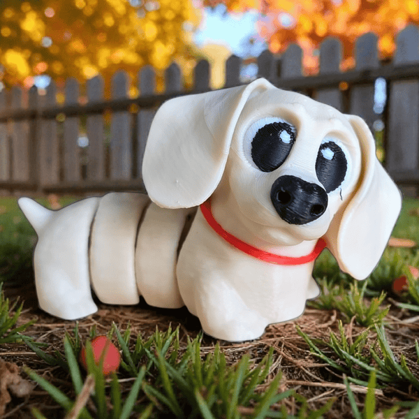 miniature dachshund dog standing in his back yard