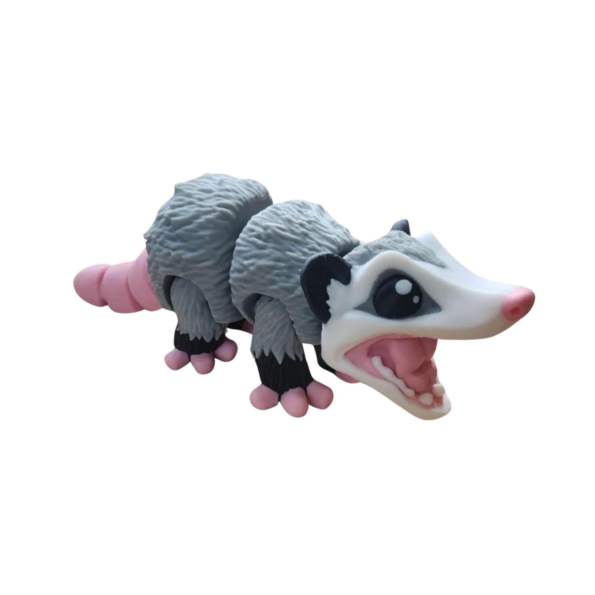 opossum