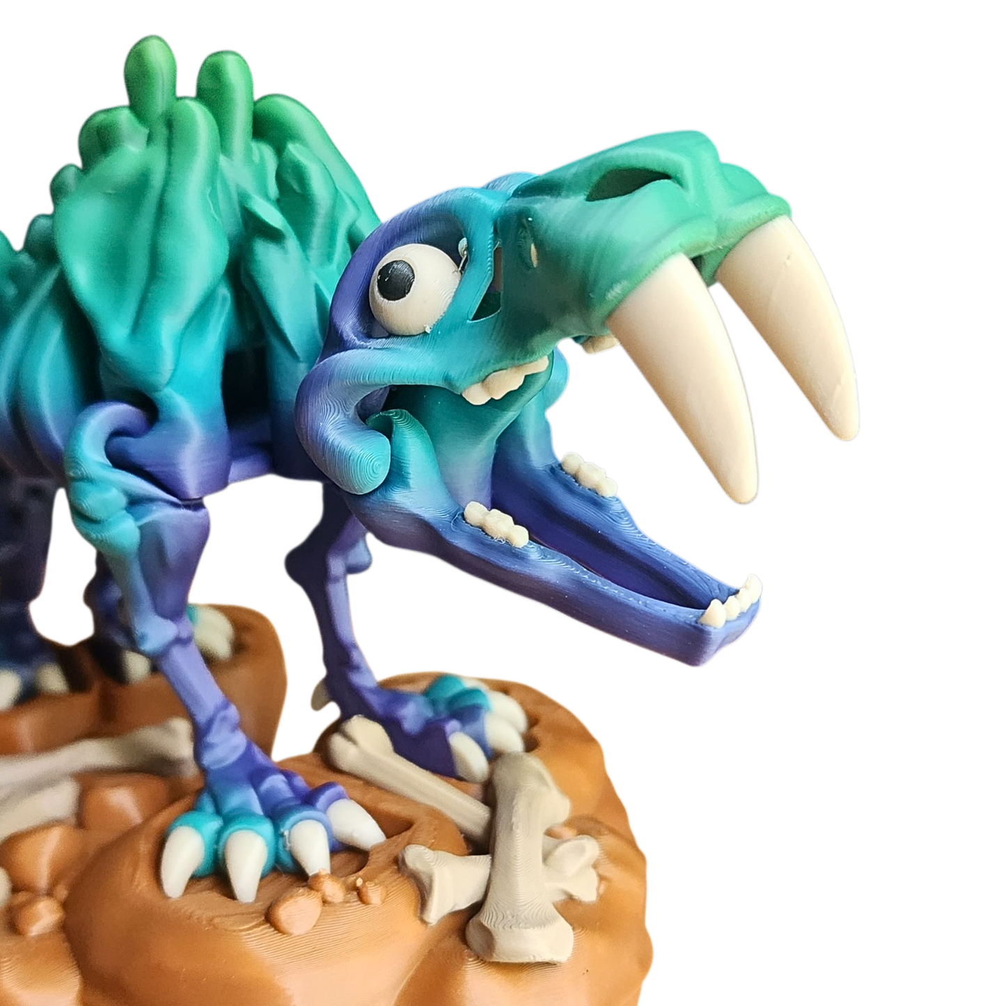 saber tooth tiger skeleton