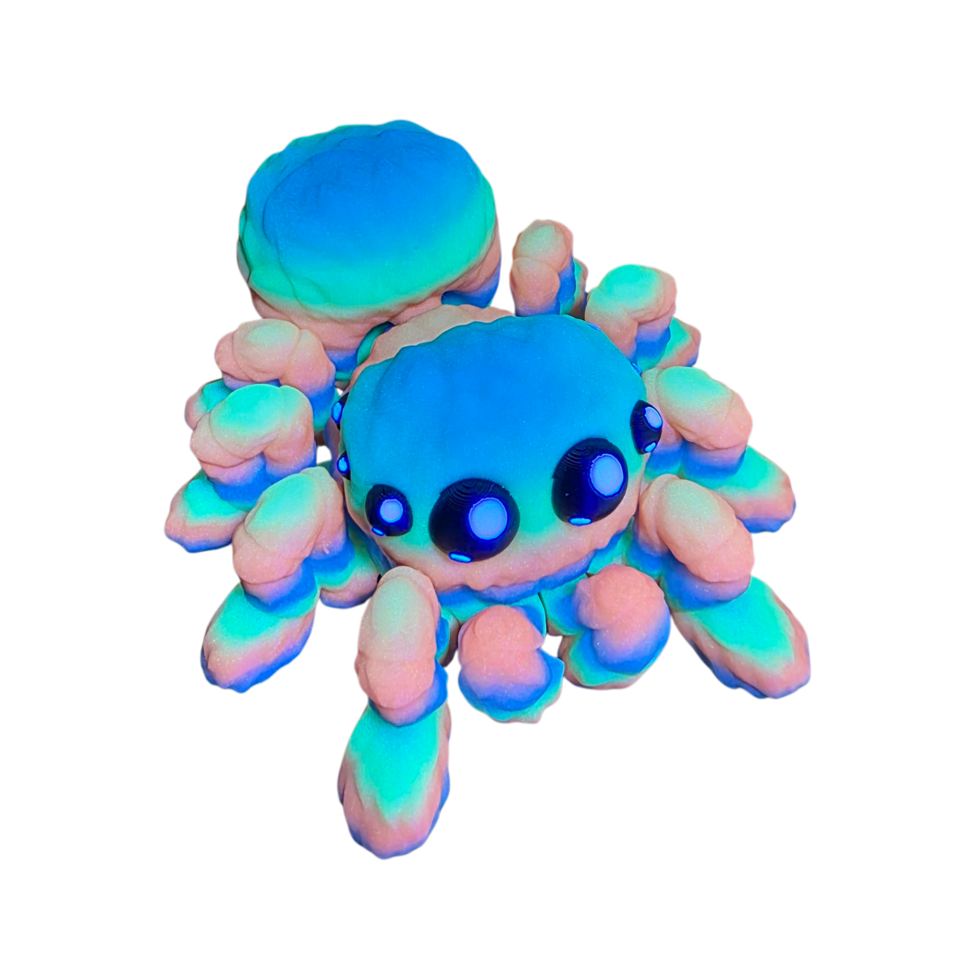 spider that glows in the dark and under a black light