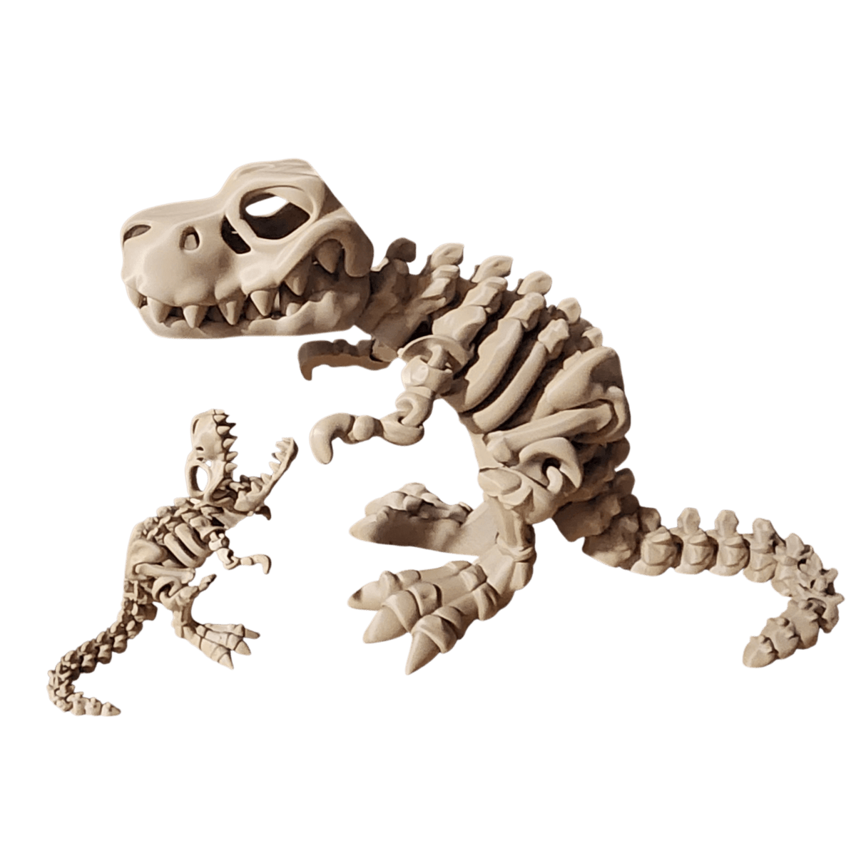 Tyrannosaurus Rex - Fragrant Moon Designs